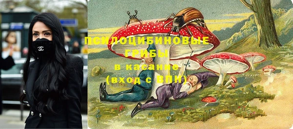 ГАЛЛЮЦИНОГЕННЫЕ ГРИБЫ Мегион