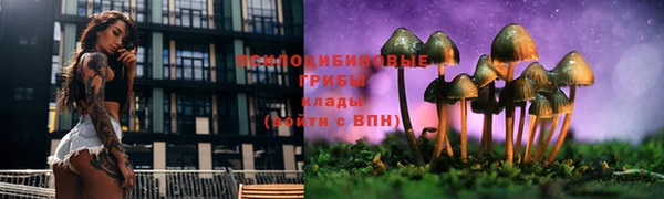 ГАЛЛЮЦИНОГЕННЫЕ ГРИБЫ Мегион