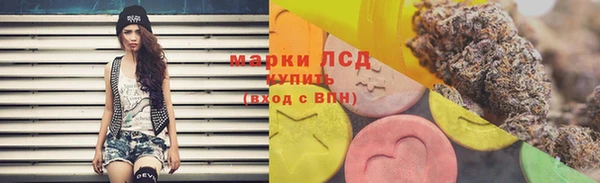 СК Михайлов