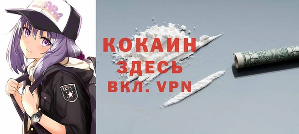 прущие грибы Бабаево