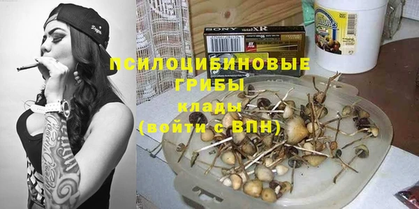 ГАЛЛЮЦИНОГЕННЫЕ ГРИБЫ Мегион