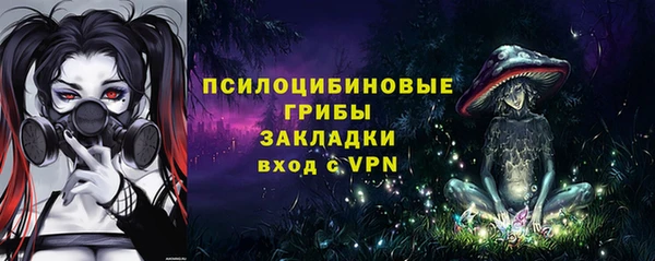 соль курить ск Медвежьегорск