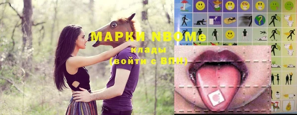 СК Михайлов