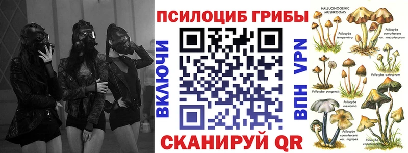 дарк нет телеграм  Саров  Галлюциногенные грибы MAGIC MUSHROOMS 