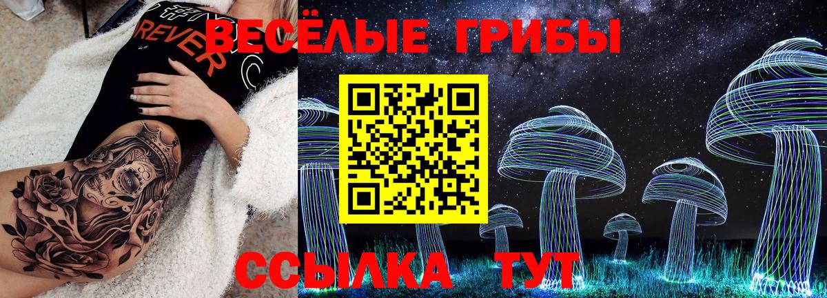 Галлюциногенные грибы MAGIC MUSHROOMS  Псилоцибиновые грибы ЛСД  Саров  наркота  Вход с VPN 