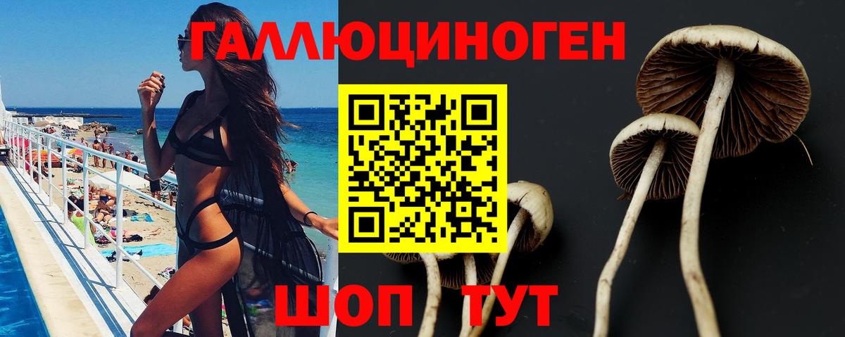 Псилоцибиновые грибы Psilocybe Саров